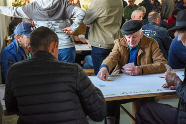 Festa do Colono de Cotiporã 2023