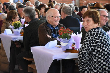 Celebrando a Vida: Festa da Pessoa Idosa