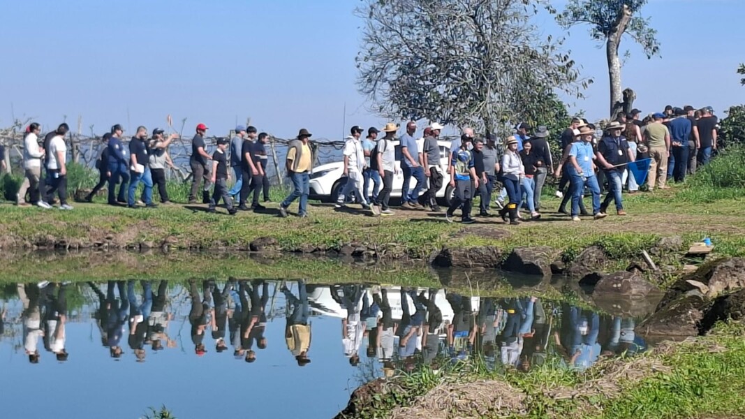 Cotiporã reúne mais de 400 participantes no Dia de Campo Regional de Citricultura